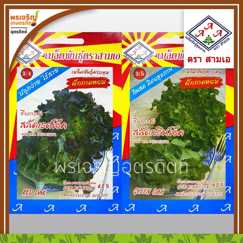 เมล็ดพันธุ์ผักสลัด กรีนโอ๊ค เรดโอ๊ค 3A (แบบซอง) เมล็ดสลัดคอส สลัดคอสม่วง ผักกาดหอม เมล็ดพันธุ์ผักสวนครัว ตราสามเอ