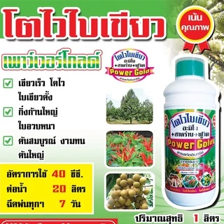 ฮอร์โมนพืชทางใบ โตใวใบเขียว กิ่งก้านใบเขียวอวบใหญ่ใบสมบรูณ์ขนาด 1 ลิตร