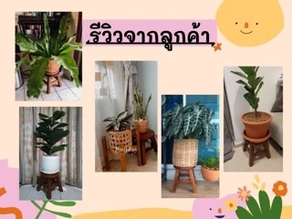 เก้าอี้ไม้สตูลเตี้ยทำจากไม้จามจุรีเกรดA ท็อปไม้ชิ้นเดียว ไร้รอยต่อประสาน (Low chair) 🪑🪑