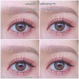 Neo cosmo สี Candy brown