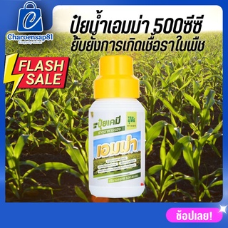 ปุ๋ยน้ำเอมม่า เอมม่า ปุ๋ยเอมม่า (ขนาด 500 ซีซี 1 ขวด ) ป้องกันเชื้อราในพืช ปุ๋ยน้ำสูตรเข้มข้น เพิ่มความแข็งแรงให้กับพืช