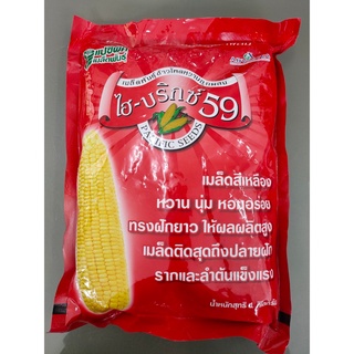 เมล็ดพันธุ์ข้าวโพดหวานลูกผสม เมล็ดพันธุ์ข้าวโพดหวาน ไฮ-บริกซ์ 59 เมล็ดพันธุ์ข้าวโพด หวาน หอม อร่อย แบ่งขาย