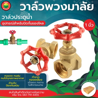 วาล์วพวงมาลัย เกทวาล์ว ขนาด 1นิ้ว BRASS GATE VALVE วาล์ว ประตูน้ำ ทองเหลือง เกตวาล์ว พวงมาลัย เปิด-ปิด น้ำ มิตสห Mitsaha