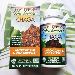 เห็ดหิ้งไซบีเรีย ชาก้า Chaga Antioxidant and DNA Support 60 Vegetarian Capsules (Host Defense®)