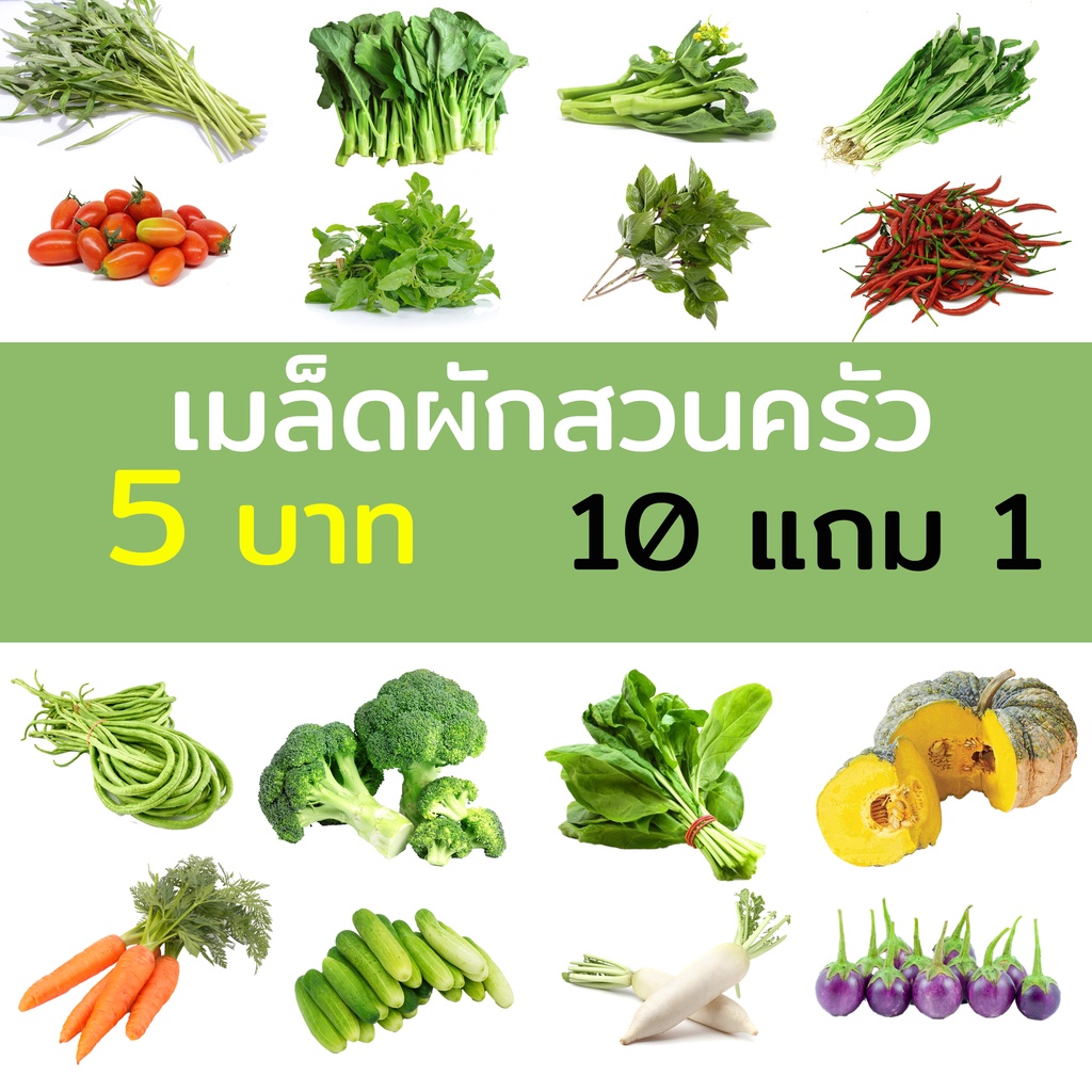 เมล็ดพันธุ์ผัก เมล็ดผักสวนครัว 10แถม1 ปลูกง่ายโตไว เมล็ดผักใหม่ 5 บาท ทุกชนิด – โปรปัง