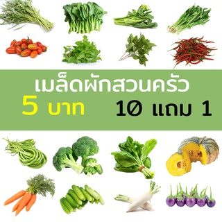 เมล็ดพันธุ์ผัก เมล็ดผักสวนครัว 10แถม1 ปลูกง่ายโตไว เมล็ดผักใหม่ 5 บาท ทุกชนิด