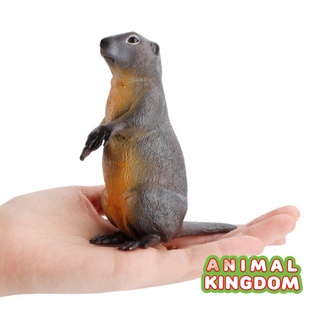 Animal Kingdom - โมเดลสัตว์ มาร์มอต เทา ขนาด 10.50 CM (จากหาดใหญ่)