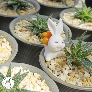 🐇 ตุ๊กตากระต่าย ชุดกระต่ายเก็บผัก ตุ๊กตาประดับกระถาง แต่งสวน ตั้งโช ขนาดเล็ก น่ารัก 🐇
