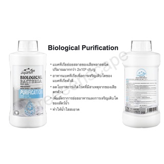 Biological Purification แบคทีเรียตู้ปลา