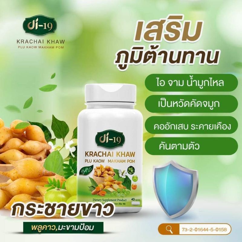 Di19กระชายขาวพลูคาวมะขามป้อม