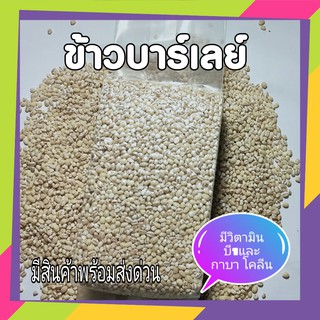 ข้าวบาร์เลย์ Barley ธัญพืชเพื่อสุขภาพ ออร์แกนิค ขนาด 500 กรัมบรรจุในระบบสูญญากาศ อย่างดี ราคาพิเศษ