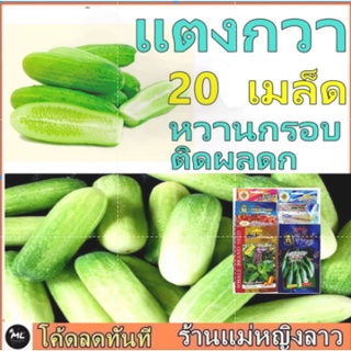 แตงกวา 20 เมล็ด พันธ์ุ ปลูกง่าย เมล็ดใหญ่ ต้นและใบสีเขียวสด โตเร็ว ซอง ดั้งเดิม สลัด ผักสวนครัว แตงกวา เคล พริก กะเพรา