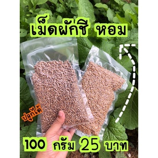 เม็ดผักชีหอม 100 กรัม ( ปลูกได้ )