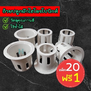 ถ้วยปลูกผักไฮโดรโปนิกส์ (แพ็ค 20 แถม 1) ใบถ้วยสำหรับใส่ฟองน้ำปลูกผัก คุณภาพดีใช้ซ้ำได้ สีขาว