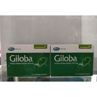 Ginkgo 40 mg และ Giloba 120 mg. Mega