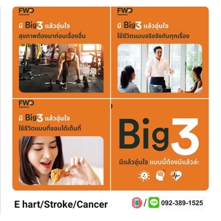 FWDประกันโรคร้าย Big3(Cancerมะเร็ง🫁,Heartโรคหัวใจ🫀และStroke🧠โรคระบบประสาท และสมอง )ราคาเริ่มต้น 566บาทต่อปี