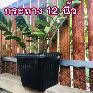 กระถางสี่เหลี่ยม 12นิ้ว กระถางปลูกต้นไม้ กระถางพลาสติก