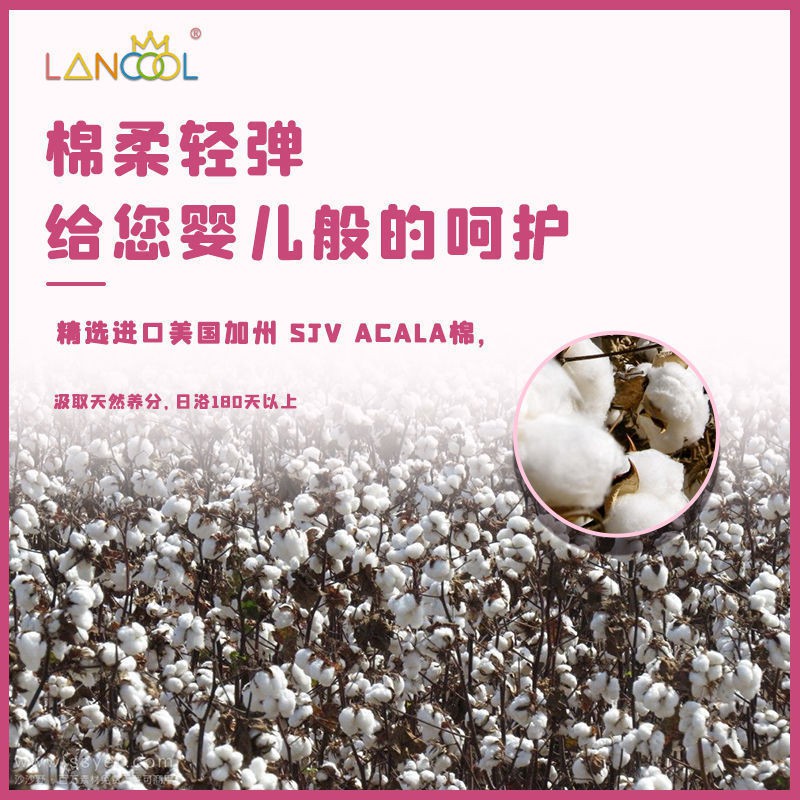 My Image 24