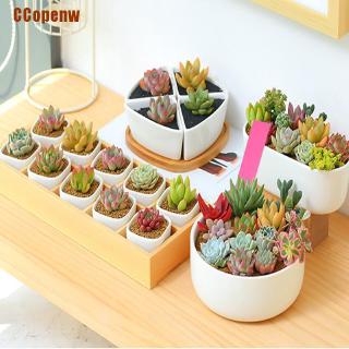 [OPC1j] 50pcs Garden Plant Pot Markers Plastic Stake Tags Yard Court Nursery Seed Label TYD