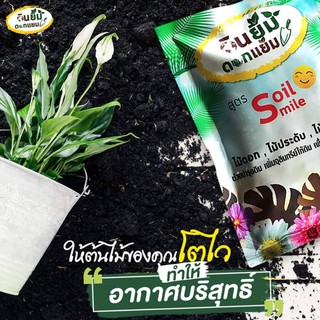 ปุ๋ยไม้ฟอกอากาศ Soilsmile  บำรุงต้น รักษาใบเหลือง ใบไม่ร่วง ต้นโต ใบสวย ใช้ได้กับต้นไม้ในร่ม เช่น ไทรใบสัก