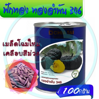 เมล็ดพันธุ์ ฟักทองลูกผสม ทองอำพัน346 F1