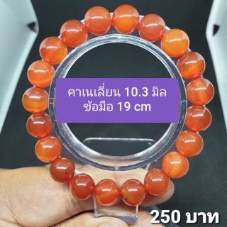 คาร์เนเลียน 10.3 มิล ข้อมือ 19 cm