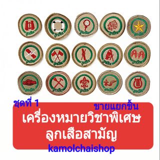 เครื่องหมายวิชาพิเศษ ลูกเสือสามัญ ชั้นประถม