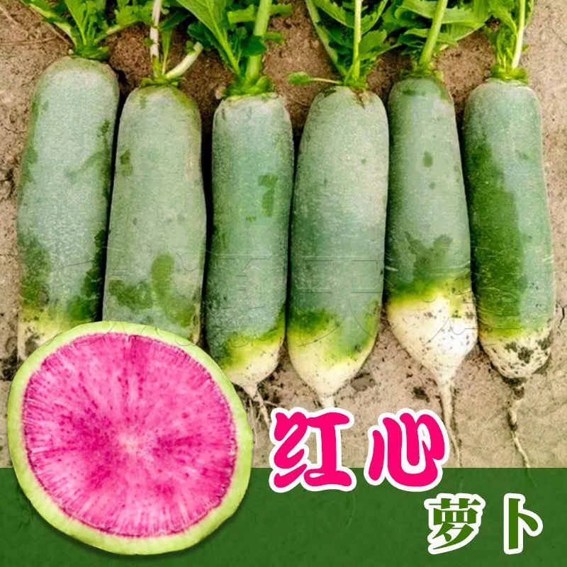 My Image 25