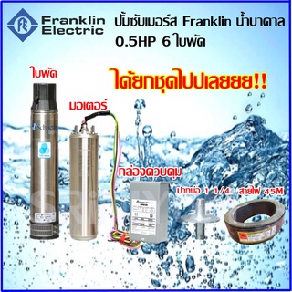 Franklin ชุดปั๊มน้ำบาดาล (ปั๊มซับเมอร์ส) ขนาด 0.5 แรงม้า 6 ใบพัดSchaefer TRI-SEAL (สีเงิน)