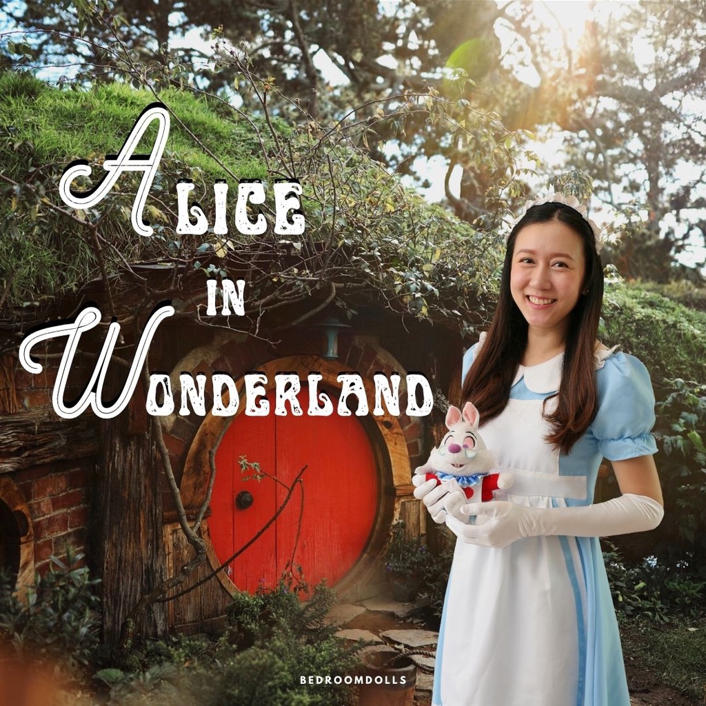 ชุดแฟนซีผู้ใหญ่ ชุดปาร์ตี้ วันเกิด เจ้าหญิงอลิส Alice in Wonderland เมด คอสเพลย์ มือ2 (พร้อมส่ง)