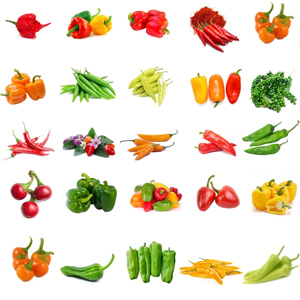 พริก📌10แถม1!!🎯ถูกที่สุด 10บ.🎯เมล็ดพันธุ์พริก3-50 เมล็ด🌿 ปลูกง่าย🌱โตไว🌱ผลดก