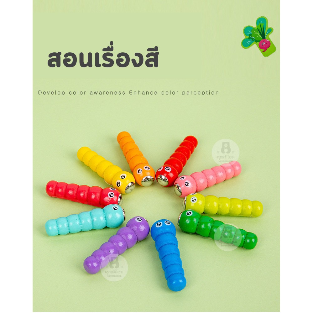 (พร้อมส่ง)2in1 ปลูกพืช ดูดหนอน เกมส์จับคู่ ของเล่นไม้ ของเล่นเด็ก ของเล่นเสริมพัฒนา Memory of Garden bug catching game - รูปที่ 7