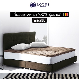 LOTUS ที่นอนยางพารา 100% รุ่นขายดี Latex Made In Belgium ส่งฟรี