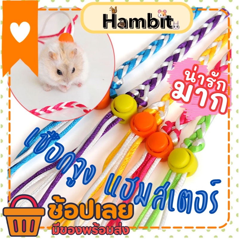 Hambit. สายจูงแฮมสเตอร์