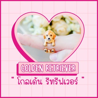 Ring / แหวน : Golden Retriever / โกลเด้น รีทริฟเวอร์