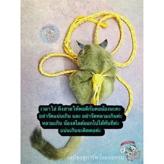 V ( สายจูง 1.4 เมตร ) สายรัดอกสัตว์เลี้ยง ที่รัดอก ที่จูง เชือกรัดอก สัตว์ สัตว์เล็ก ชูการ์ กระรอก ดอร์เมาส์ แฮมสเตอร์
