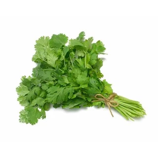 เมล็ด ผักชี ผักพื้นบ้าน เมล็ดผัก ผักสวนครัว ราคาถูก 10 บาท Coriander