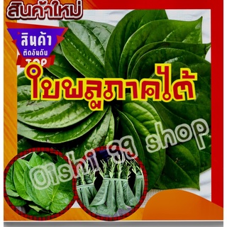 ใบพลู พลูกินหมาก ใบพลูเขียว ใบพลูใหว้เจ้า เก็บสดใหม่ๆทุกวัน คัดใบสวย(50ใบ)   เก็บสดไหม่ทุกวัน (50ใบ/แพ็ค)