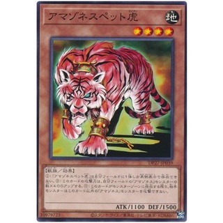 DP27-JP039Int Amazoness Tiger Duelists of Pyroxene Common Int DP27-JP039 「アマゾネスペット虎」