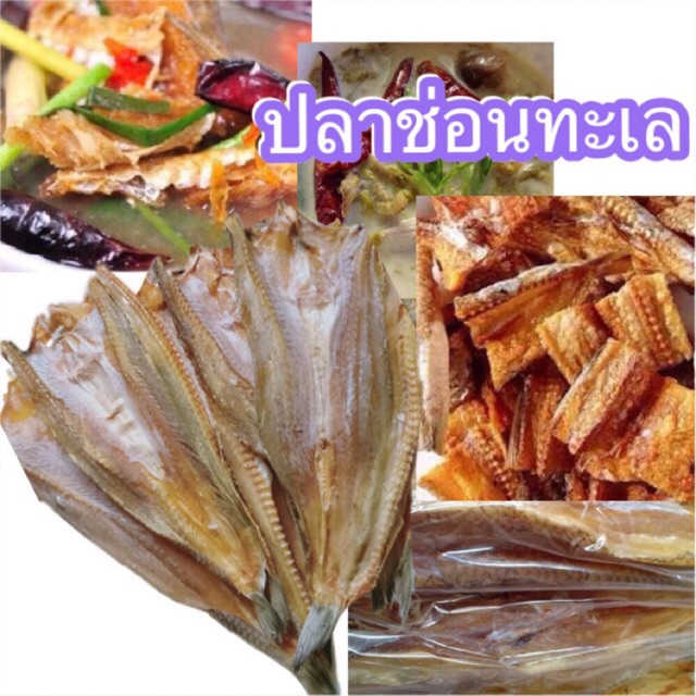 My Image 7