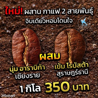 กาแฟอาราบิก้าผสมโรบัสต้า