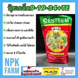 9-19-34 +TE ขนาด 1 กิโลกรัม เอสทีม เร่งช่อดอก ติดผลดก รสชาติดี ละลายน้ำเยี่ยม สะสมอาหาร เพื่อสร้างตาดอก กระตุ้นการแตกตา