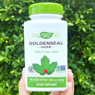 50% Sale!!! EXP: 11/2023 โกลเด้นซีล Goldenseal Herb 800 mg 180 Vegan Capsules (Natures Way®) สกัดจากลำต้น ใบและดอก