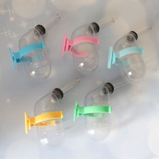 [thebliss] ขวดน้ำสัตว์เลี้ยง ขวดน้ำสูญญากาศ 60 ml. [สุ่มสีไป…