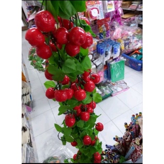 แอปเปิ้ลเถาวัลย์ยาว1.80เมตร