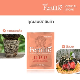 🌱 100g เฟอร์ติไลฟ์ Fertilife ธาตุอาหารพืช ปุ๋ยละลายช้า ปลดปล่อยธาตุอาหารต่อเนื่อง ต้นอวบ กอแน่น ดอกเยอะ