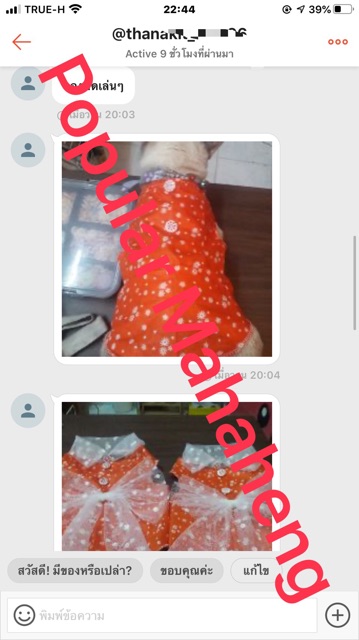 แพทเทิร์น ชุดหมา ชุดแมว สำหรับตัดเย็บ DIY ( ขายวิธีสอนการเย็บเสื้อน้องหมาแมวด้วยนะคะ ) - รูปที่ 6