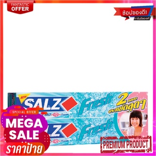 ซอลส์ ยาสีฟัน สูตรเฟรช แจเปนนิส มินต์ 160 กรัม x 2 หลอดSalz Fresh Japanese Mint Toothpaste 160g x 2 Tubes