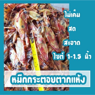 🐙ปลาหมึกกระตอยแห้ง  ไม่เค็ม  สดใหม่ ตากใหม่ ทุกวัน ปลอดสารพิษ