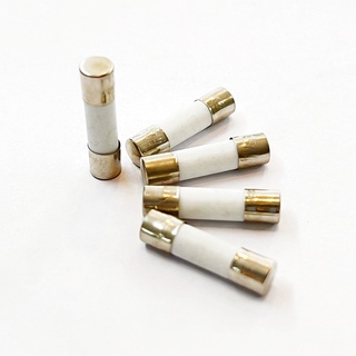 Ceramic Fuse ฟิวส์เซรามิก ขนาด 5x20 mm 250V จำนวน 5 ชิ้น ขนาด 3.15A 5A 6.3A  8A 10A 15A 20A